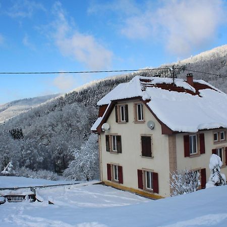 Villa Domaine De La Charriere Sur 63 Ares - 8 Pers Grand Confort Neuviller Exterior foto